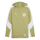 FC Speyer 09 teamEVOSTRIPE Hoody