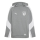 FC Speyer 09 teamEVOSTRIPE Hoody