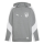 FC Speyer 09 teamEVOSTRIPE Hoody
