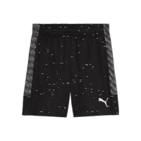 FC Speyer 09 teamLIGA26 Training Shorts - PUMA Black-PUMA...