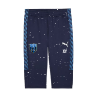 FC Speyer 09 teamLIGA26 Training 34 Pants