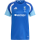 TSG Deidesheim Training Premium Shirt