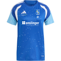 TSG Deidesheim Training Premium Shirt