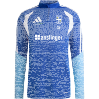 TSG Deidesheim Training Premium Pullover