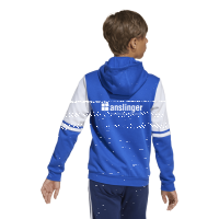 TSG Deidesheim Präsentation Winter Hoody
