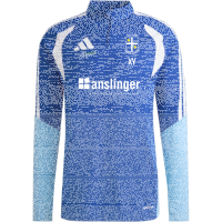 TSG Deidesheim Training Premium Pullover