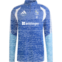 TSG Deidesheim Training Premium Pullover