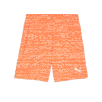FC Speyer teamGOAL Shorts Jr
