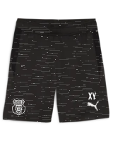 FSV Jägersburg teamGOAL Training Short PUMA...