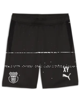 FSV Jägersburg teamGOAL Training Short PUMA...