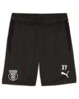 FSV Jägersburg teamGOAL Training Short PUMA...