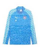 FSV Schifferstadt teamLIGA26 Training 14 Zip Top