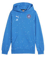FSV Schifferstadt teamGOAL Casuals Hoody