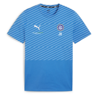 FSV Schifferstadt teamGOAL Casuals Tee Jr