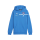 FSV Schifferstadt teamGOAL Casuals Hoody