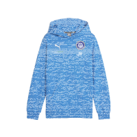 FSV Schifferstadt teamGOAL Casuals Hoody Jr