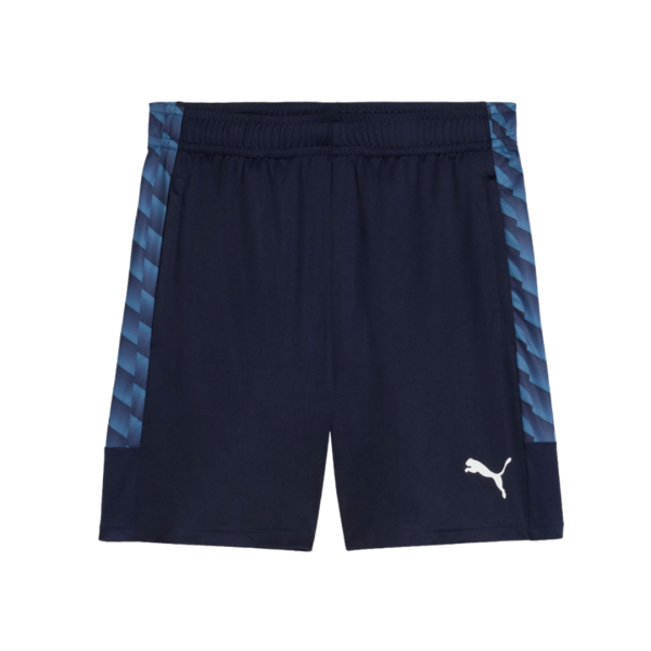 FSV Schifferstadt teamLIGA26 Training Shorts