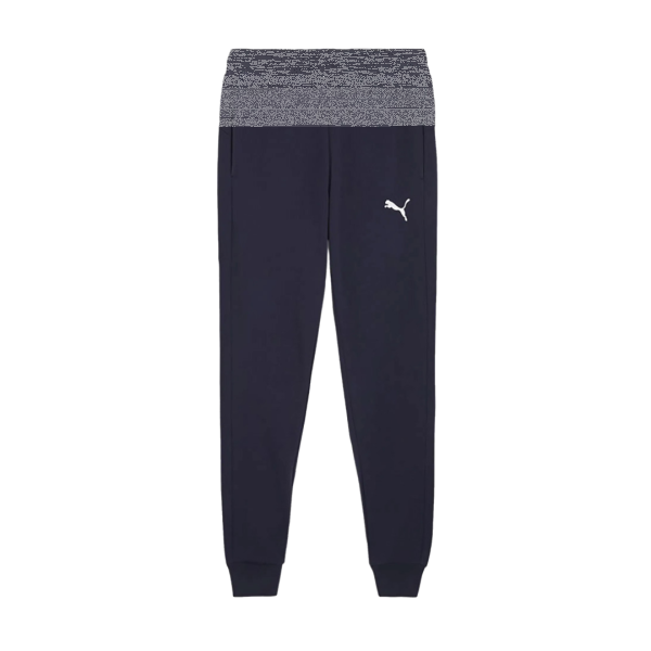 FSV Schifferstadt teamGOAL Casuals Pants
