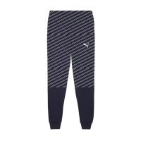 FSV Schifferstadt teamGOAL Casuals Pants