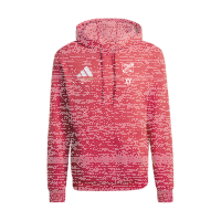 JFV Ganerb ENT26 HOODY Y