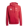 JFV Ganerb ENT26 HOODY Y