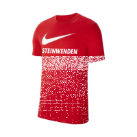 SV Steinwenden NIKE DRI-FIT PARK MEN"S SOCCER