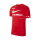 SV Steinwenden NIKE DRI-FIT PARK MEN"S SOCCER