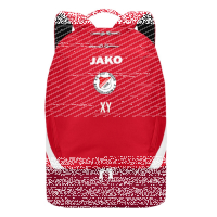 SV Rot-Weiß Seebach Rucksack Iconic