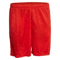 ASV Fußgönheim Basic Hose
