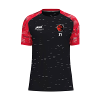 SC Stambach T-Shirt Sonic