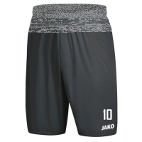 SC Stambach Sporthose Manchester 2.0