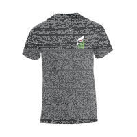 HLZ  Friesenheim-Hochdorf Basic-T Junior