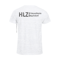 HLZ  Friesenheim-Hochdorf Basic-T Junior