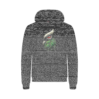 HLZ  Friesenheim-Hochdorf Miami Hoody