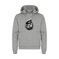 HLZ  Friesenheim-Hochdorf Miami Hoody