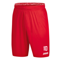 SV Rot-Weiß Seebach Longsleeve Comfort 2.0