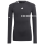 JFV Pfälzer Bergland TF LS TEE Y