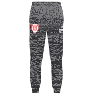 TuS Ormesheim Polyesterhose One